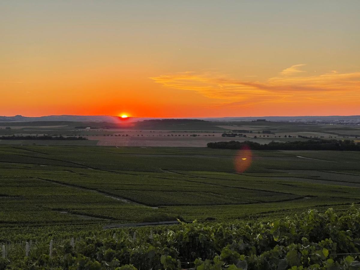 L'Effervescent Daire Reims Dış mekan fotoğraf